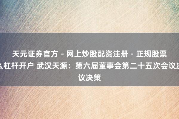 天元证券官方 - 网上炒股配资注册 - 正规股票怎么杠杆开户 武汉天源：第六届董事会第二十五次会议决策